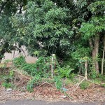 Terreno próximo ao Tênis Clube!