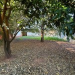 Residência com amplo terreno.