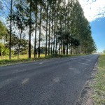 Excelente área rural próxima ao Balneário.