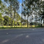 Excelente área rural próxima ao Balneário.